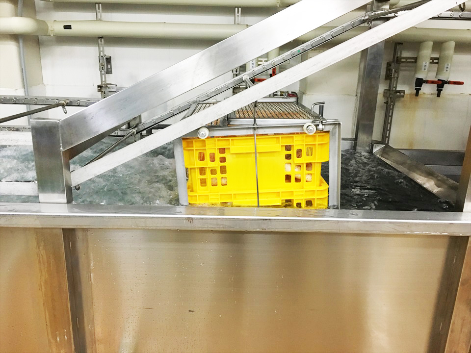 連続洗浄殺菌装置 WS-3600